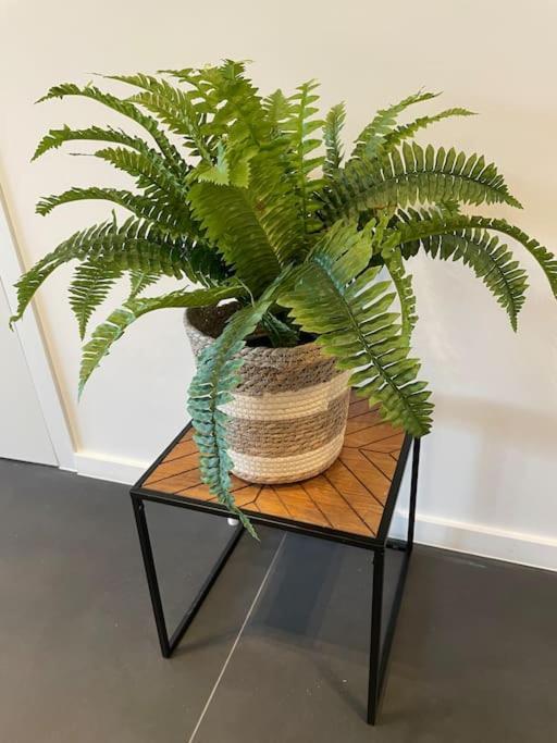 Ostend Chic, Luxe Loftstijl In Oostende エクステリア 写真